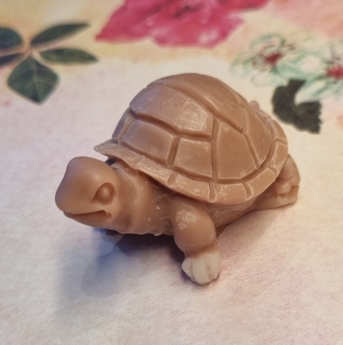 Petite tortue
