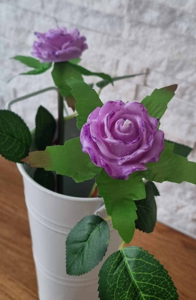 Rosa